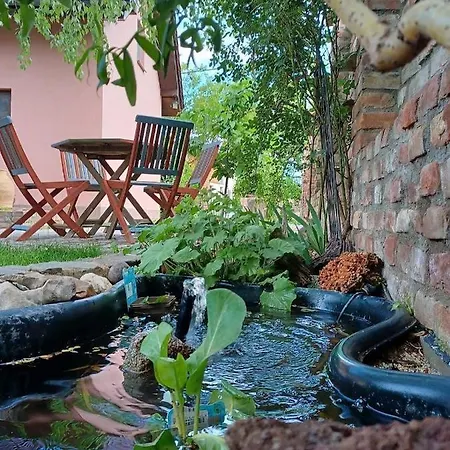 V Soukromi Na Sadove 906 -