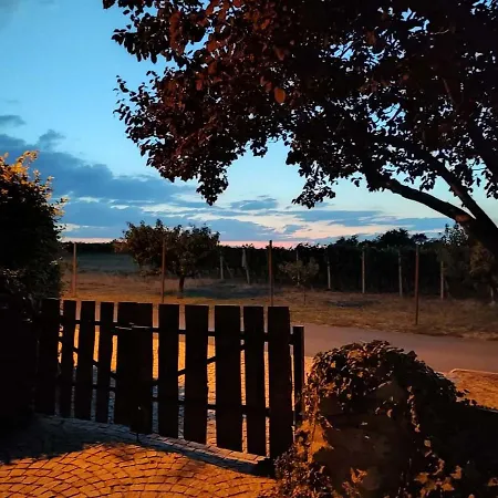 V Soukromí Na Sadové 906 - Alloggio in famiglia Valtice