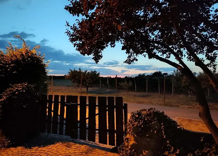 V Soukromi Na Sadove 906 - Homestay Valtice